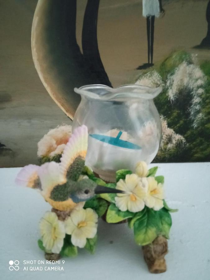 Casa Avo T1 Apartment ภายนอก รูปภาพ